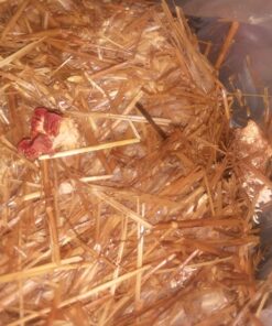 EZ Straw Seeding Mulch with Tack - Biodegradable Organic Processed Straw – 2.5 CU FT Bale (Covers up to 500 sq. ft.), Multi 44 81yAcEhpk0L