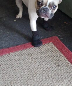 Hipaw Summer Breathable Dog Boots Nonslip Sole Paw Protector for Hardwood Floor Small ( Insole: 2.15"W ) Black 18 81yGxaTd7xL