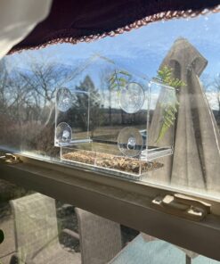 Window Bird Feeders for Outside - Large Bird House Style Window Bird Feeder - Window Bird Feeders with Strong Suction Cups with Drain Holes, Removable Tray, Large Seed Capacity and Rubber Perch 31 81yJykYYzoL