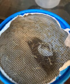 Praying Mantis Egg Case with Hatching Habitat Cup - 2 Praying Mantids Egg Cases 2 Egg Pod Habitat Cup 45 81yM4B8AfyL