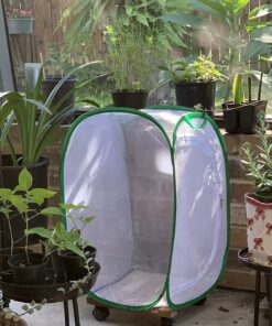 Trasfit Pop-up Insect and Butterfly Habitat Cage Terrarium - 24 Inches Tall 55 81yNX8RJIL