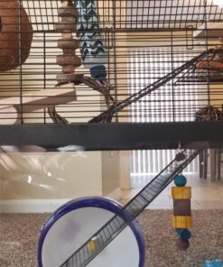 Kaytee Perfect Chew Hamster 23 81yPyMhDbRL