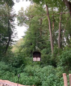 More Birds Double Suet Cage Bird Feeder with Metal Roof, Fruit and Suet Feeder, 2 Suet Cake Capacity Brown Double Cage 41 81yQR4juiDL