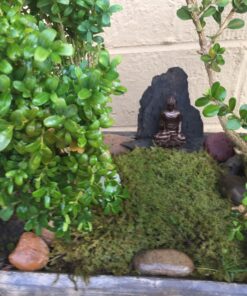 Top Collection Mini Shakyamuni Buddha Decorative Statue - Hand Painted Enlightened One Sculpture with Bronze Finish Look- 3-Inch Supreme Buddha Collectible Figurine 39 81yRdgR 6QL 1