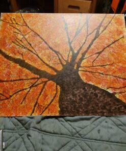 Dr. Ph. Martin's Bombay India Ink (Set 1) Ink Set, 1.0 oz, Set 1 Colors, 1 Set of 12 Bottles 34 81yRoC4KtJL