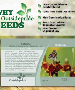 Outsidepride Ratibida Mexican Hat Wild Flower Attractant & Pollinator for Bees & Butterflies - 5000 Seeds 14 81yXLqdVLkL