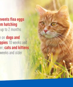 Adams Flea & Tick Spray For Dogs and Cats | Kills Fleas and Ticks Through Contact, Kills Flea Eggs, Flea Larvae, and Prevents Flea Egg Hatch | Controls Flea Reinfestation For Up To 2 Months | 16 Oz 23 81yYbkEkZHL