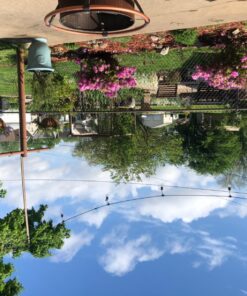 Foxlux String Lights - 48 ft LED Outdoor String Lights - Shatterproof, Waterproof Pergola Lights - 15 Hanging Sockets, Light Sensor, Edison Bulbs - Decor for Patio, Backyard, Garden, Bistro 43 81yZCGZorNL