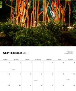 Chihuly 2019 Wall Calendar 12 81yaRdGnsUL