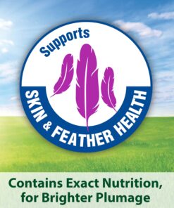 Kaytee Forti-Diet Pro Health Cockatiel Pet Bird Food, 5 Pound 5 Pound (Pack of 1) 29 81ycL5afq4L