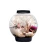biOrb CLASSIC 15 Aquarium with LED - 4 gallon, Black 27 81ydddI1FL