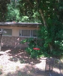 SUMMERSDREAM Disc Seat Rope Swing Set - Easy to Hang - Monkey Swing Disk for Kids to Play Outdoors (Red) Red 14 81ygtyn4u2L