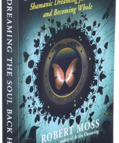 Dreaming the Soul Back Home: Shamanic Dreaming for Healing and Becoming Whole 8 81yiB08onIL