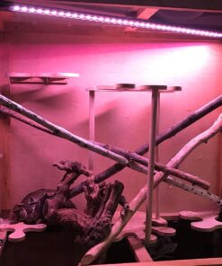 Finnex Planted 24/7 Fully Automated Aquarium LED, 36-Inch Not Controllable 36 Inch 33 81yqabv7xQL