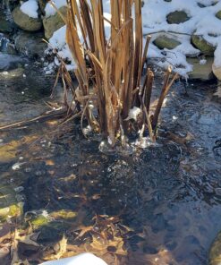 Aquascape 75000 Pond Air 2 (Double Outlet Aeration Kit) 2-Outlet 64 81yrJonM5L