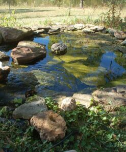 TetraPond Submersible Flat Box Filter, For 250 To 500 Gallon Ponds 43 81yvDxfuSSL