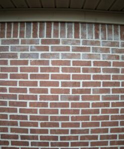 Rokinon 14mm f/2.8 IF ED UMC Ultra Wide Angle Fixed Lens w/ Built-in AE Chip for Nikon 50 81z 4abrfML