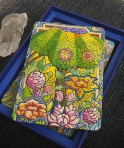 Wisdom of the Buddha Mindfulness Deck 74 81z vWa2O5L