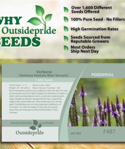 Outsidepride Verbena Hastata Blue Vervain Pollinating Wild Flower Plants - 5000 Seeds 13 81z06coo1nL