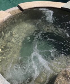 Clorox Pool&Spa Green Algae Eliminator2 32 oz 57 81z0V4N4x5L