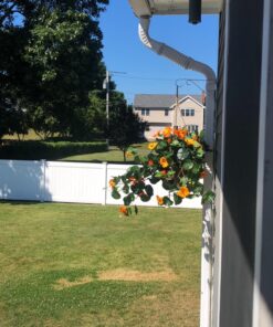 Nearly Natural 6025 22in. Nasturtium Silk Hanging Basket,Gold,29" x 10.25" x 10.25" 34 81z3x03R7LL