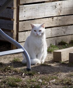 OM SYSTEM OLYMPUS M.Zuiko Digital 40-150mm F4.0-5.6 R Black For Micro Four Thirds System Camera, 3.75x Zoom Lens, Portable Design Standard Packaging 90 81zDWenbZzL