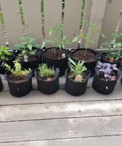 247Garden 5-Pack 1-Gallon Aeration Fabric Pot/Plant Grow Bag w/Handles (260 GSM, Black, 6H x 7D) 1 Gallon 46 81zEnl r dL