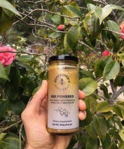 Superfood Honey by Beekeeper's Naturals - Bee Pollen, Royal Jelly, Propolis, Honey - Natural Energy, Immune Support, Mental Clarity, Athletic Performance (11.6 oz) 11.60 Ounce (Pack of 1) 33 81zGUioOD L