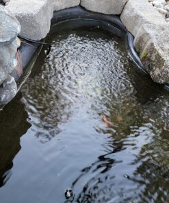 Aquascape 75000 Pond Air 2 (Double Outlet Aeration Kit) 2-Outlet 81 81zKJLoWMtL