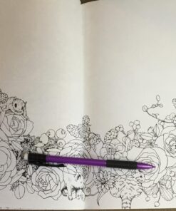 Mori ga kanaderu rhapsody. Rhapsody in the forest.(Coloring Book Japan Edition) 67 81zKYbb3vSL