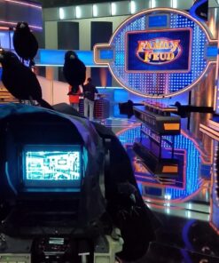 PREXTEX 6pcs Black-Feathered Small Crows Halloween Decorations | Outdoor&Indoor Decor | Fake Bird, Halloween Birds, Scary Ravens, Decorative Crows, Raven | Home, Fence, Porch, Tree, Party Decoration 47 81zLeHbpdyL