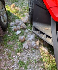 URSFUR Real Canadian Red Fox Tail Fur Keychain Alopex Lagopus Cosplay Toy Car Bag Charm Pendant Cosplay Toy Key Chain Ring Tassel Keyring 16 81zMzAaHVlL