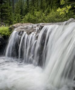 Panasonic LUMIX G85MK 4K Mirrorless Interchangeable Lens Camera Kit, 12-60mm Lens, Lexar U3 64GB Memory Card, 2 Spare Batteries, Charger, Bag and Accessory Bundle 35 81zNQSud7RL