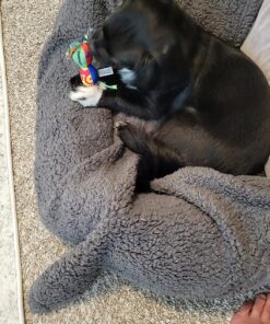 Petstages Mini Dental Chew Starter Pack for Puppies - 3 Pack Mini Chew 3 Pk 31 81zPMnoi8HL