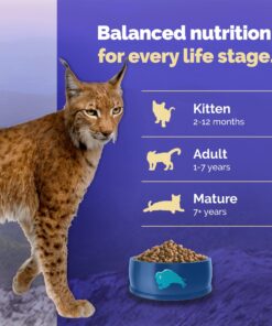 Blue Buffalo Cat Food, Natural Chicken Recipe, Wilderness High Protein, Adult Dry Cat Food, 12 lb bag 12 Pound (Pack of 1) 30 81zPUYze9xL