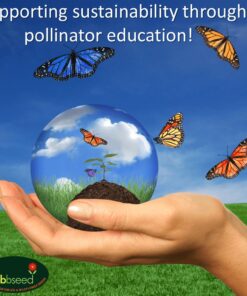 Monarch Butterfly Rescue Wildflower Seed Packet Bulk Open-Pollinated Wildflower, No Fillers, Annuals, Perennials and Milkweed Seeds for Monarch Butterfly1oz 44 81zRlOfoHmL