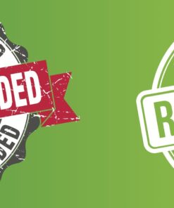 Diabetic Kitchen Cinnamon Pecan Granola Cereal - Low Carb Snacks w/Prebiotics & No Added Sugar - No Erythritol, 3 Net Carbs & Gluten-Free 22 81zU1P2A1uL 2