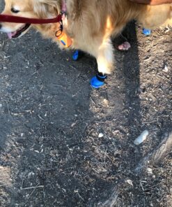 Hipaw Summer Breathable Dog Boots Nonslip Sole Paw Protector for Hardwood Floor XL: Insole Wide 2.83" Blue 28 81zZKcFg2OL