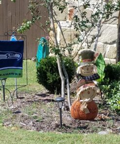 Seattle Seahawks Double Sided Garden Flag 19 81zZUQxFD9L