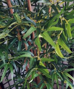 Nearly Natural 5179 5ft. Bambusa Bamboo Silk Tree, 60in. , Green 60 in 52 81zblOajk3L