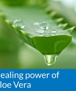 API POND STRESS COAT Pond Water Conditioner 32-Ounce Bottle Water Treatment 14 81zdJhhZnmL