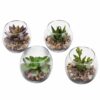 MyGift Assorted Artificial Succulent Fake Plant in Small Clear Glass Display Vases, Set of 4 41 81zdKj1fQUL