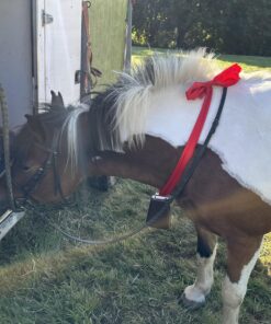 7 Inch Steel Cow Bell with Handle and Antique Copper Finish 1 Pack 6 81zdnAyDa L