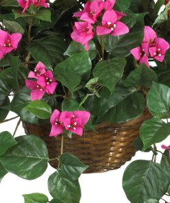 Nearly Natural Bougainvillea Basket Silk 1 Artificial Hanging Plant, 32 x 32 x 24, Green, Pink 36 81zgRKAtaL