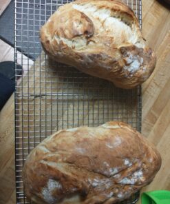 Hoosier Hill Farm Dry Malt (Diastatic) baking Powder 1.5 lb. 36 81zgeMNEZrL