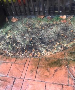 Jonathan Green (10840) Fast Grow Grass Seed - Cool Season Lawn Seed (7 lb) 7 pounds 30 81zn7dXOlDL