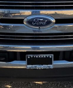 Custom Accessories 92812 Skull in Flames License Plate Frame 11 81zqLqGgK8L