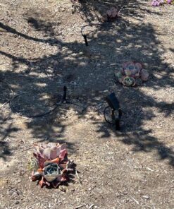 ZUCKEO Low Voltage Landscape Lights LED Landscape Lighting, 5W 12V Garden Pathway Lights Waterproof Warm White Walls Trees Flags Outdoor Landscape Spotlights with Stakes (8 Pack) 60 81zqcr0bJlL