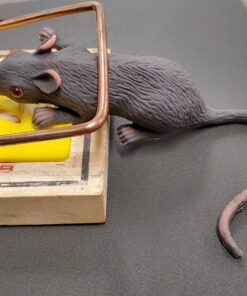 Mouse Lifelike Rubber Gag 19 81ztbk8p 8L