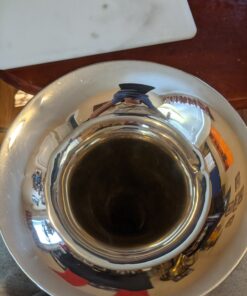 MusicNomad Silver Polish for Silver & Silver-Plated Instruments, 4 oz (MN701) 66 81zuobBDBZL